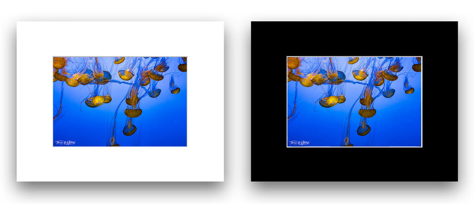 print preview