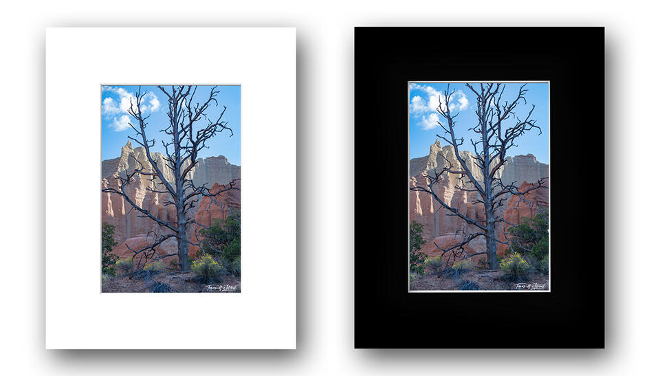 print preview