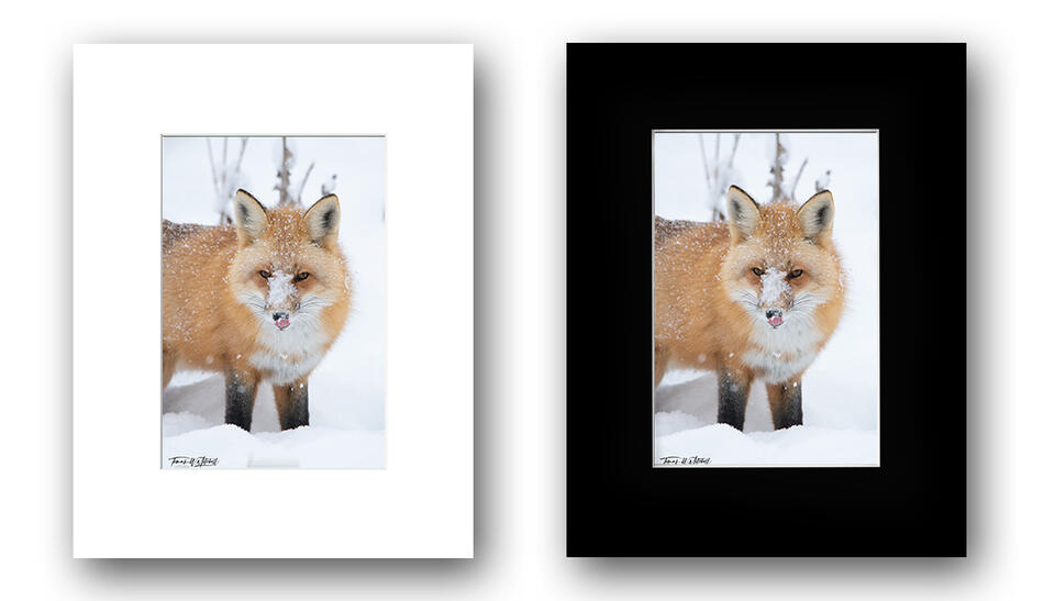 print preview