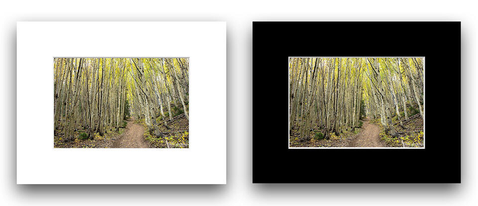 print preview