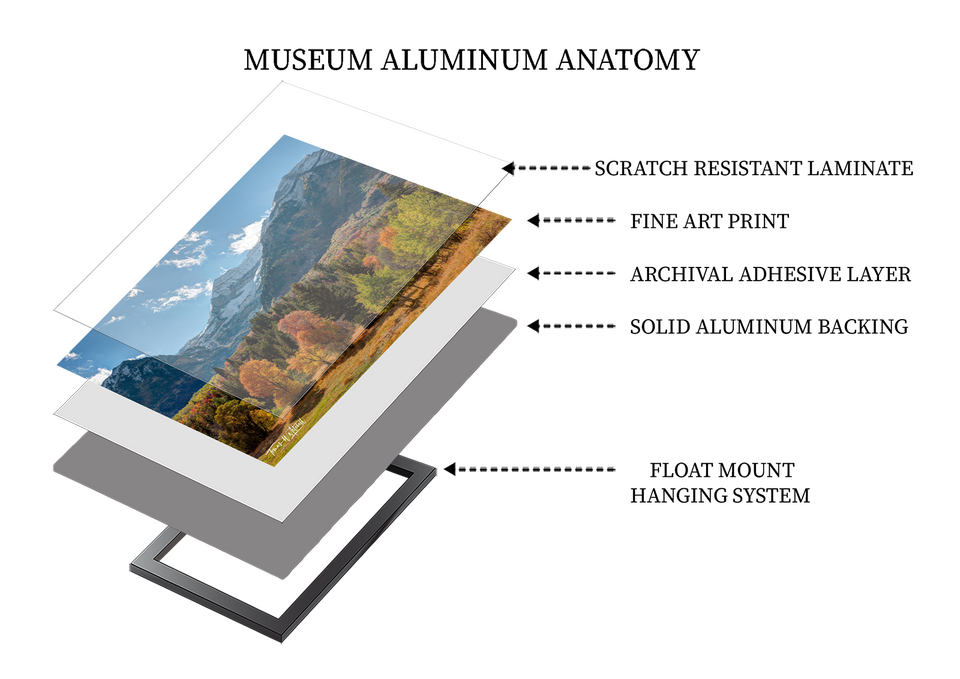 Limited Edition Museum Aluminum Mounted Print - Ready to Hang or Frame