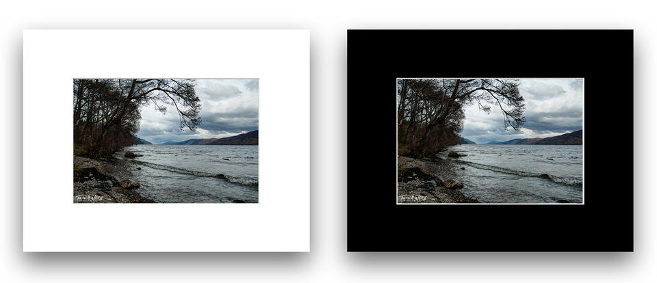  print preview