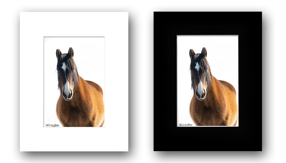 print preview