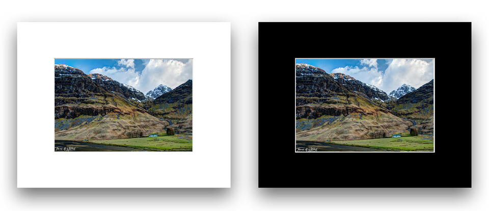  print preview