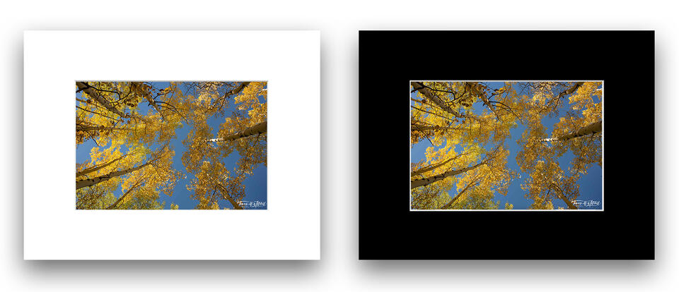  print preview