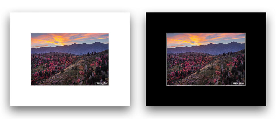 print preview