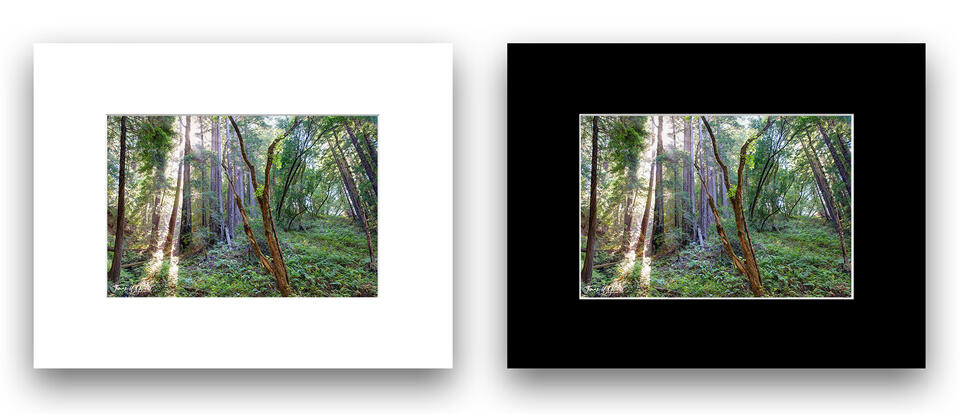  print preview