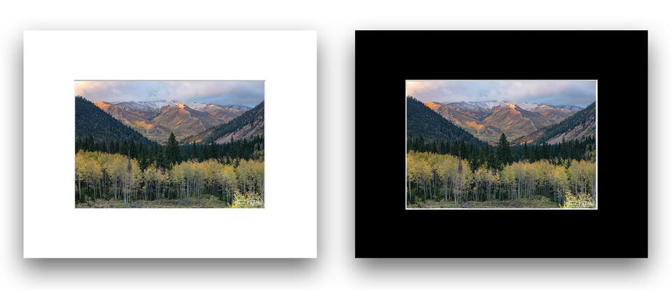  print preview