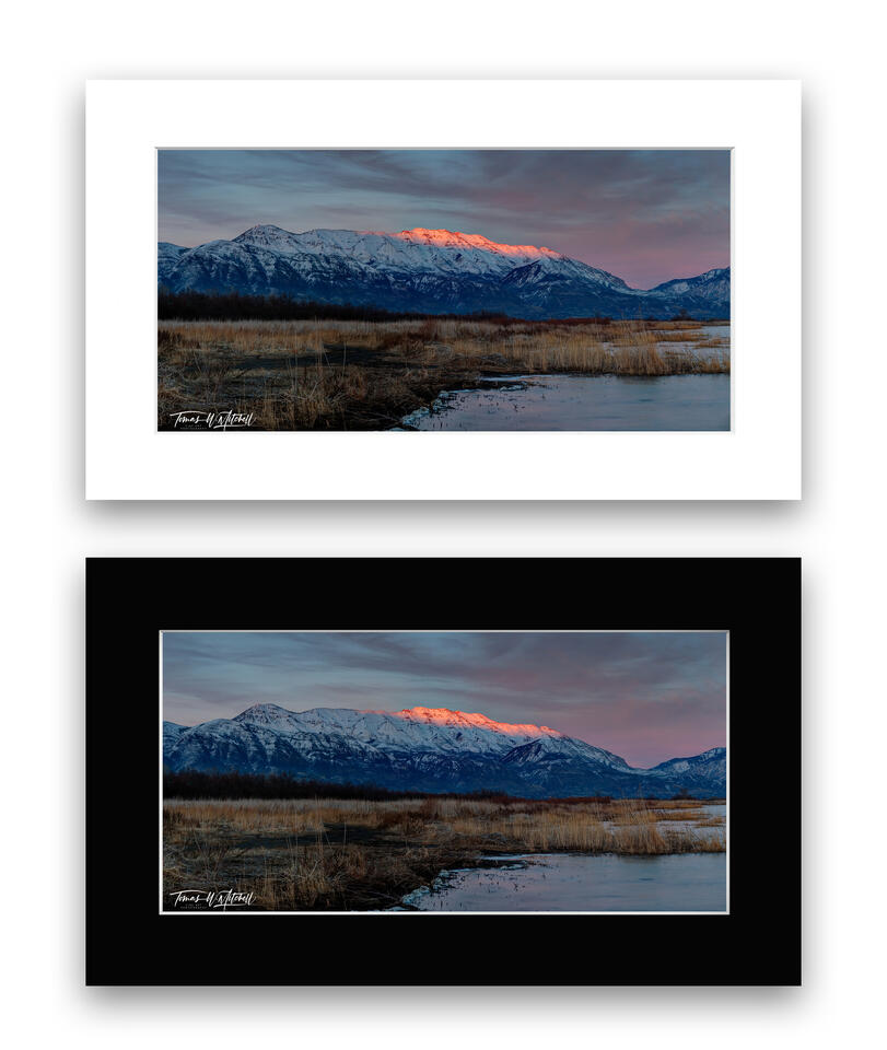 print preview