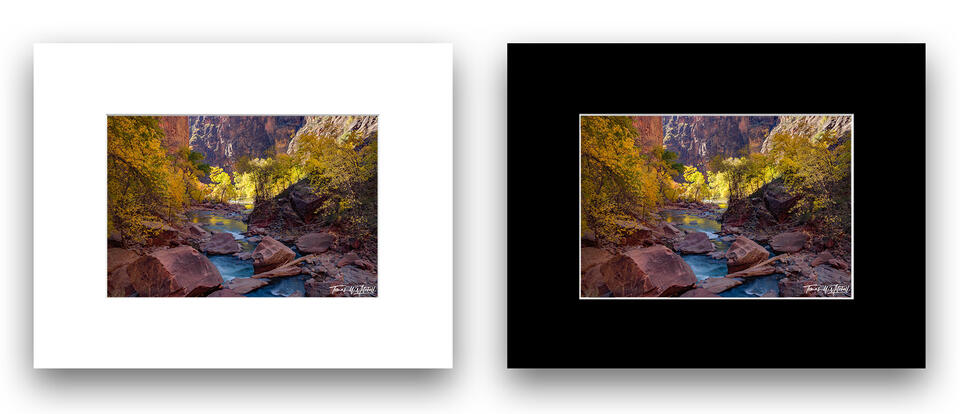  print preview