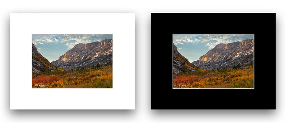 print preview