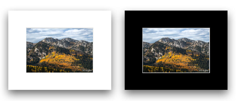 print preview