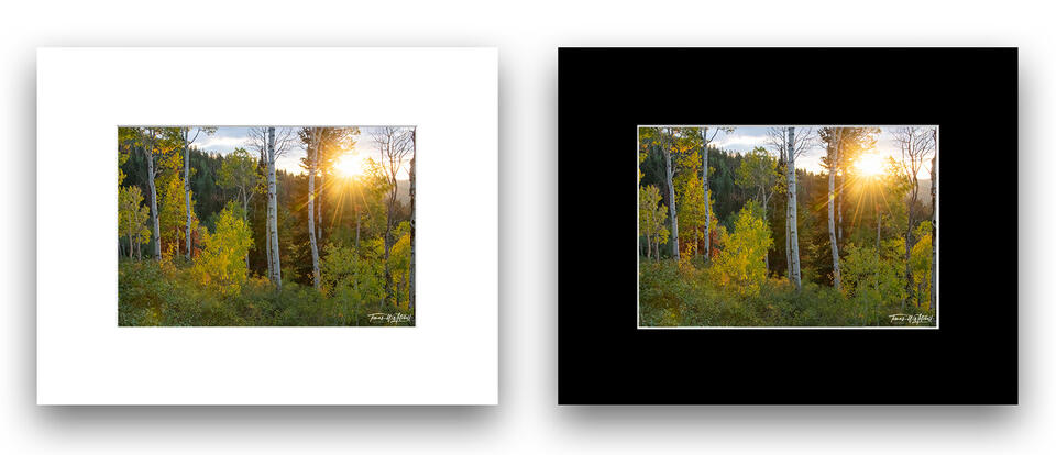 print preview