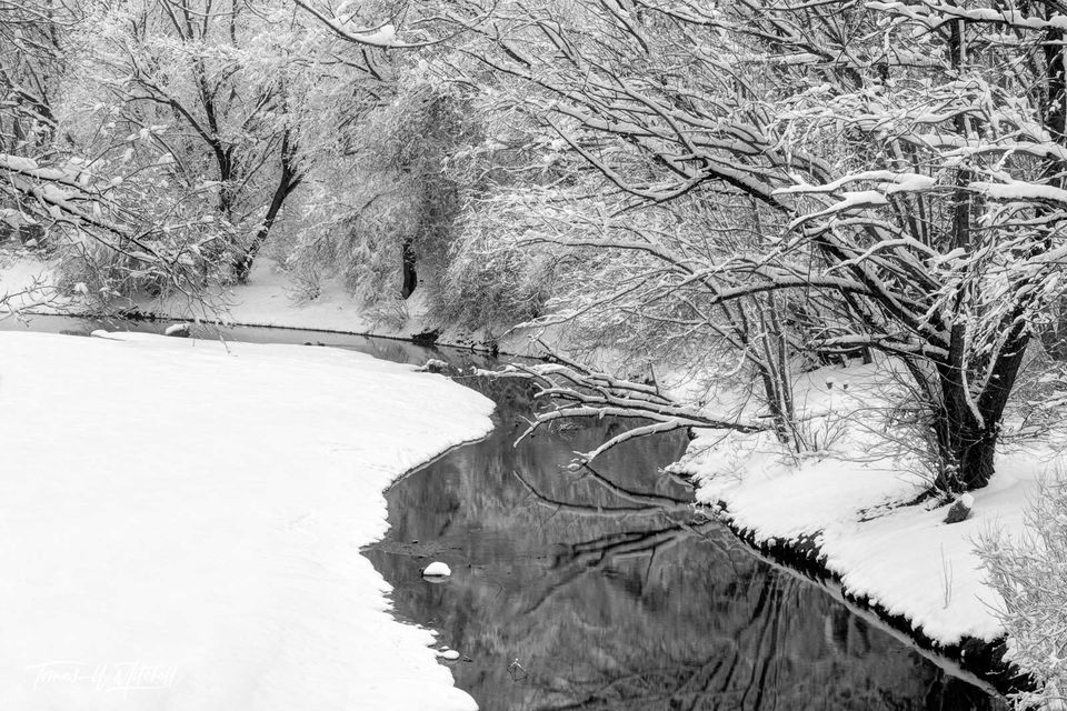 Snow covered stream in winter with snow covered trees
