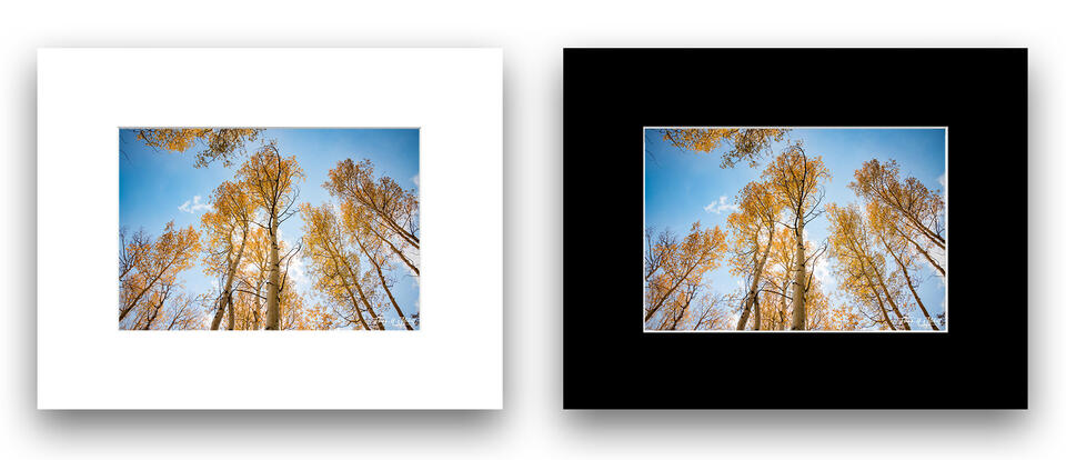  print preview