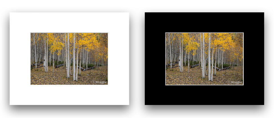 print preview