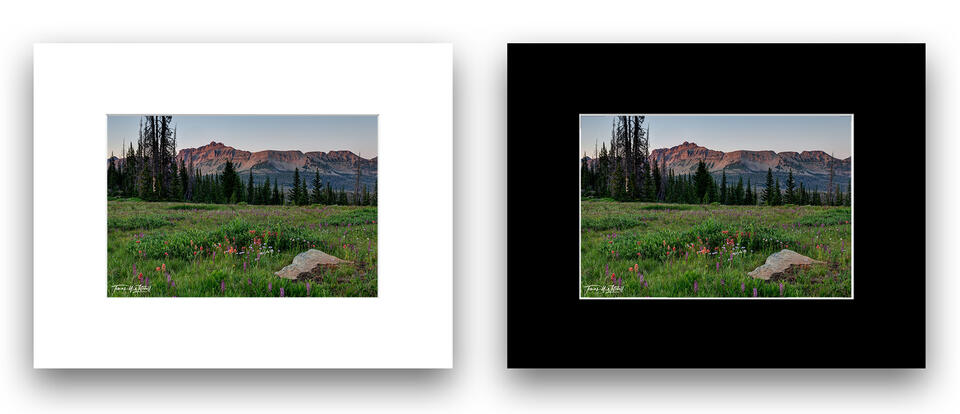 print preview