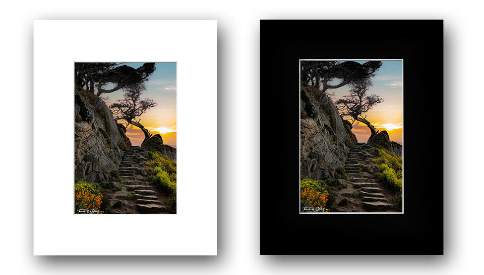  print preview