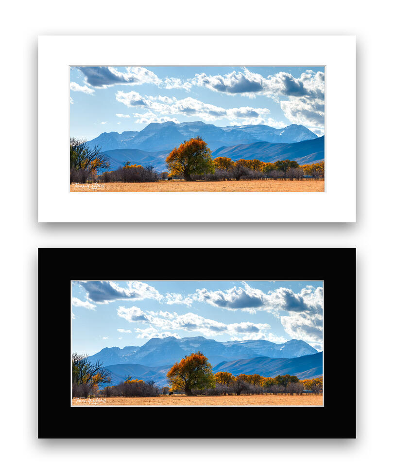  print preview