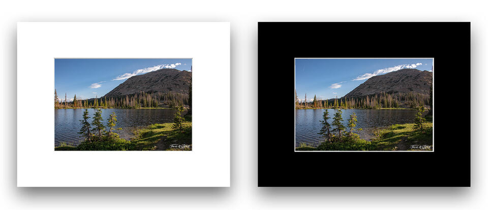 print preview