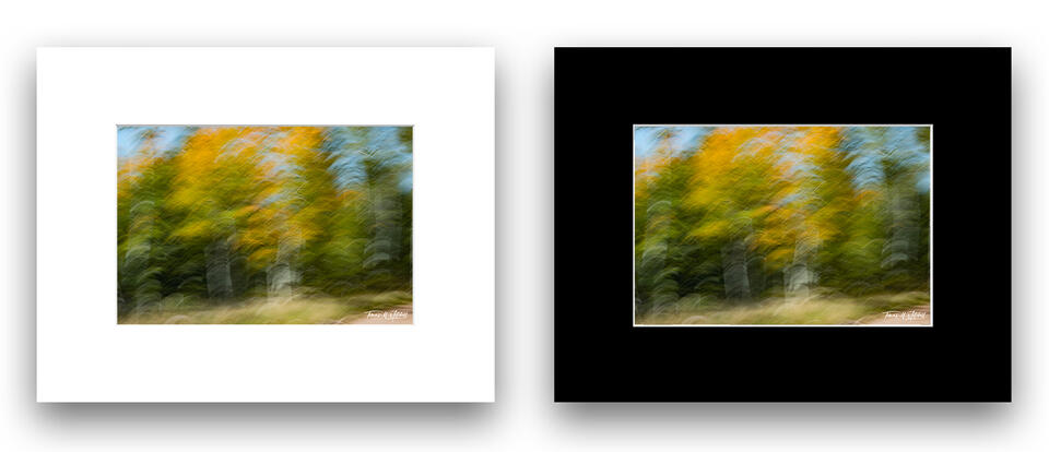 print preview