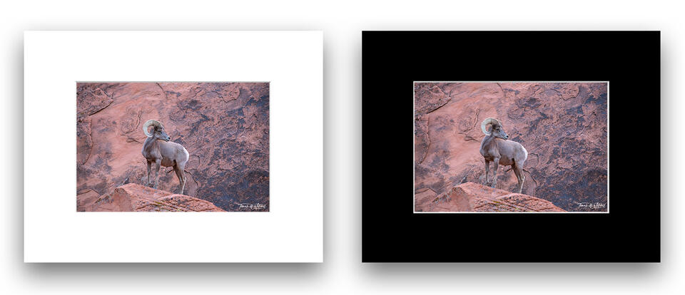 print preview