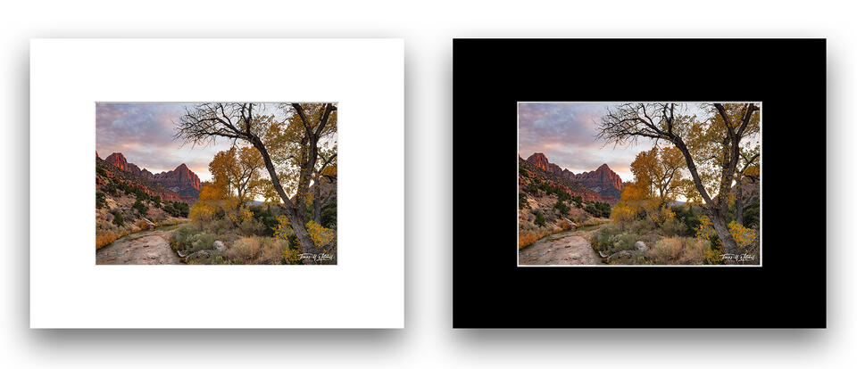  print preview