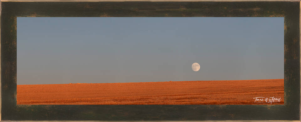 print preview