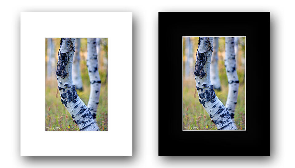 print preview