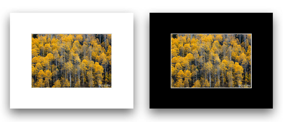  print preview
