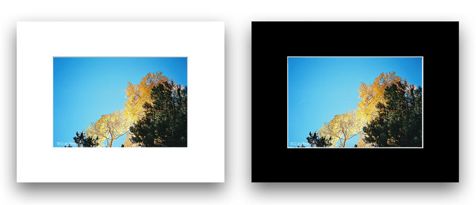 print preview