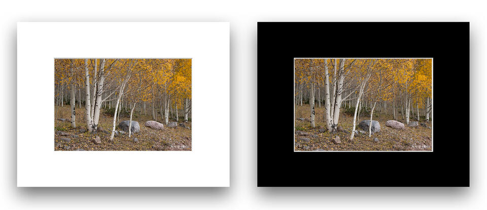 print preview