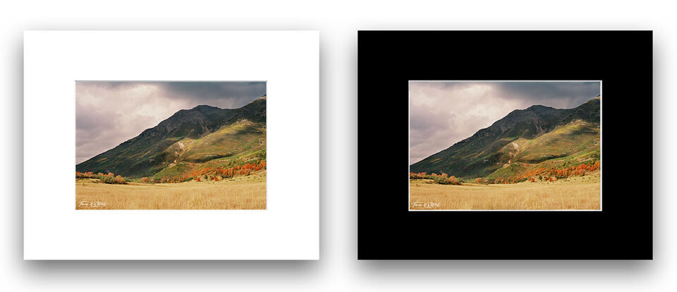 print preview