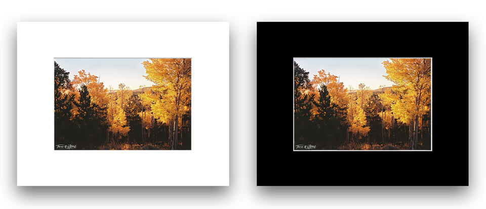 print preview