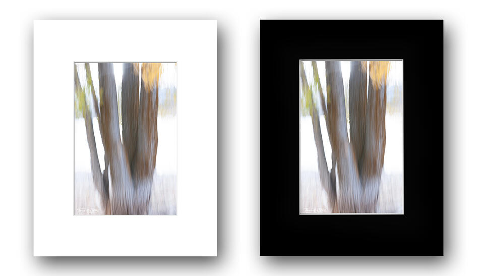 print preview