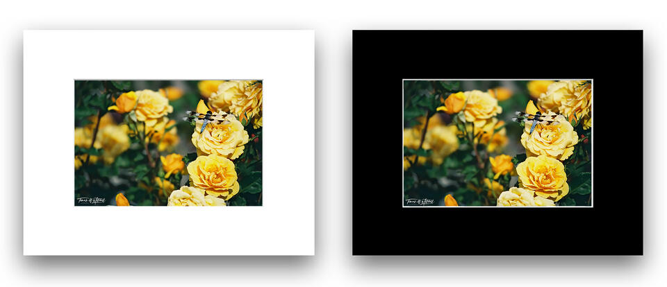 print preview