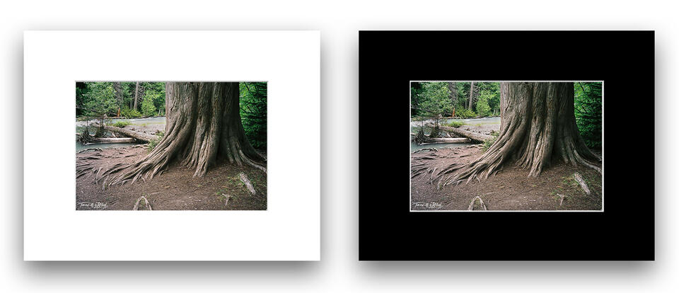  print preview
