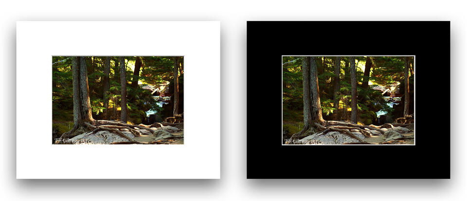 print preview