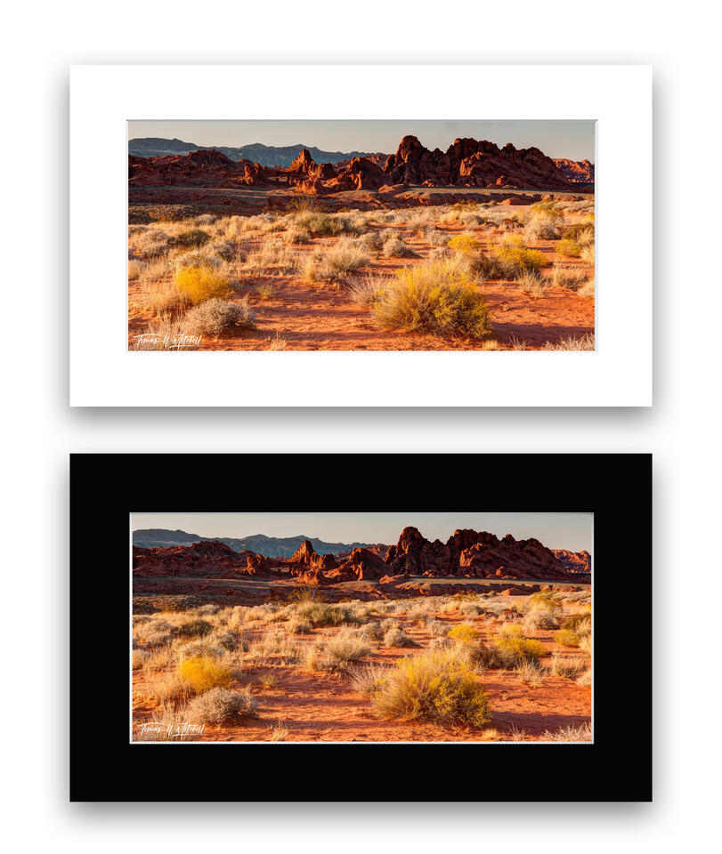 print preview