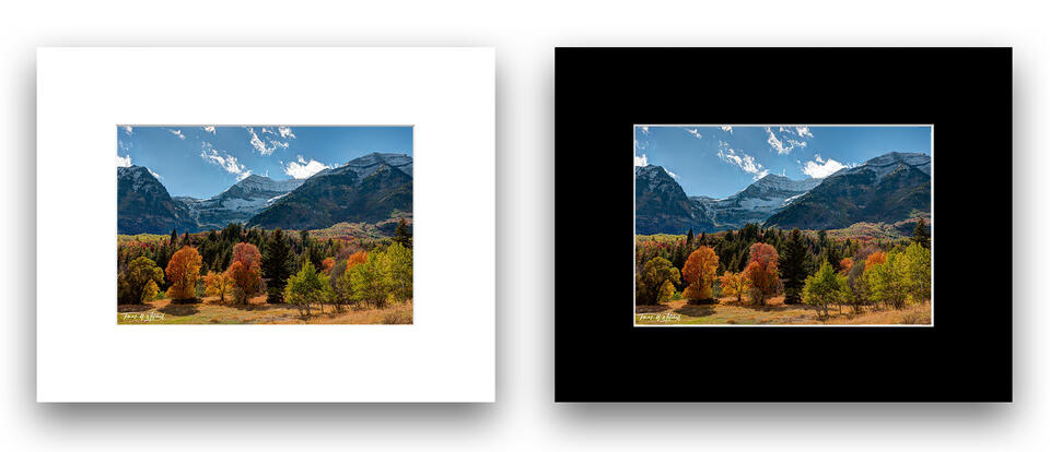 print preview