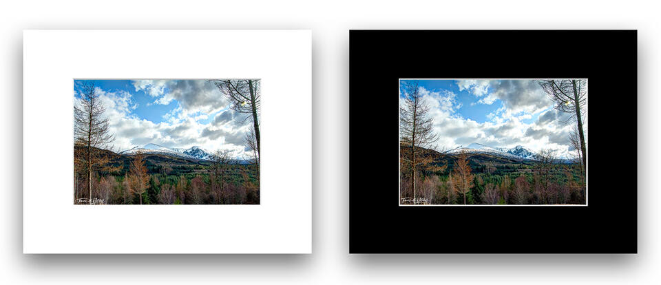 print preview