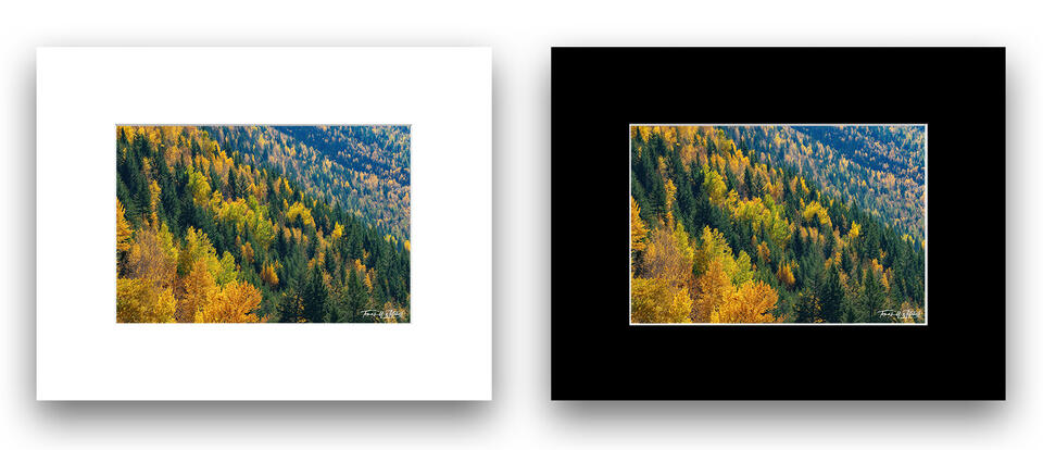 print preview