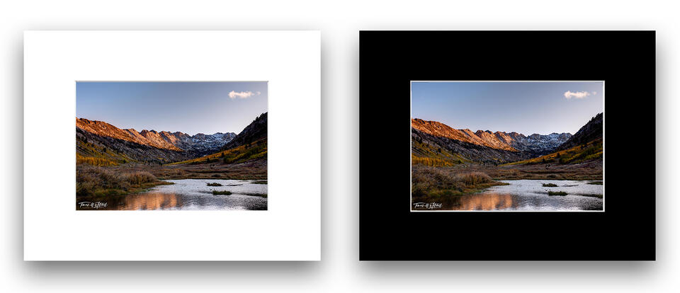 print preview