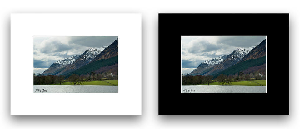  print preview
