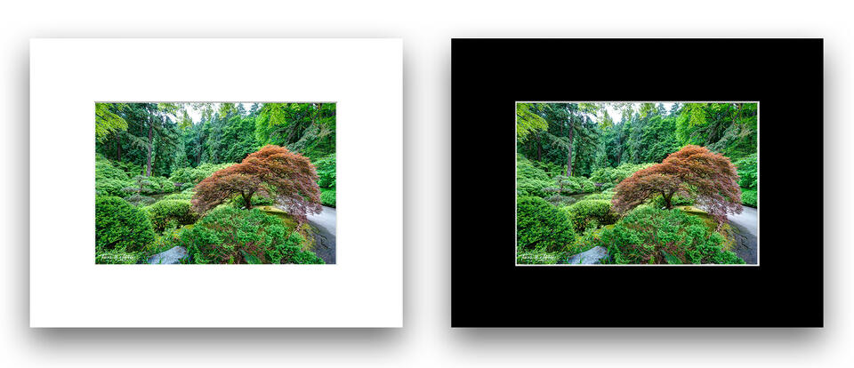  print preview