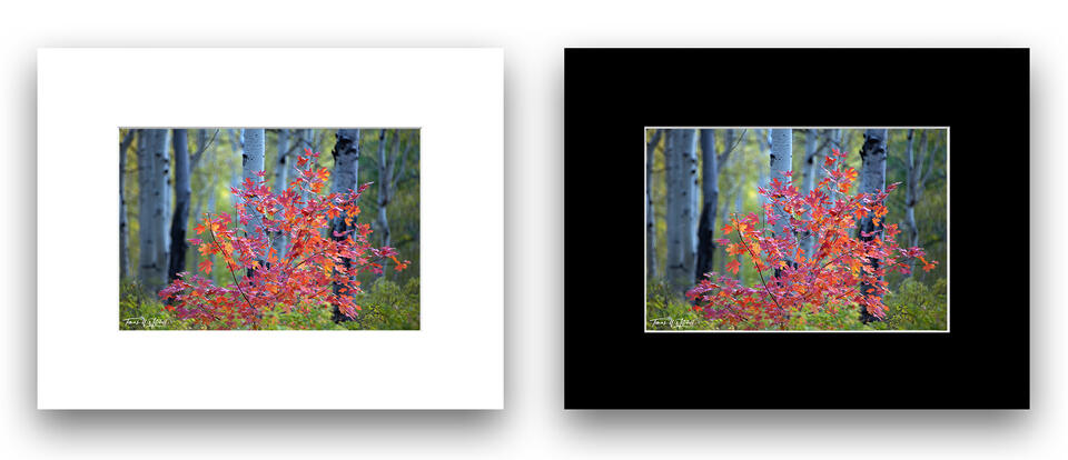  print preview
