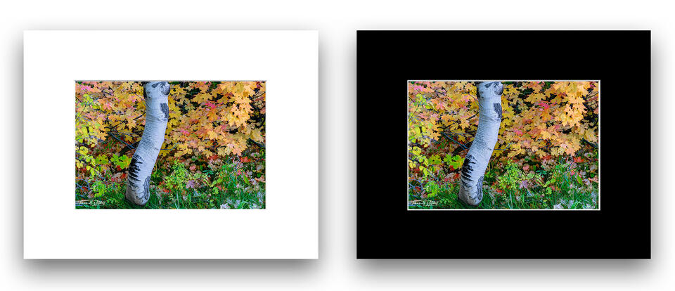 print preview