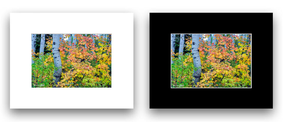  print preview