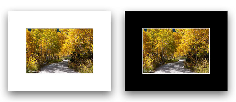 print preview