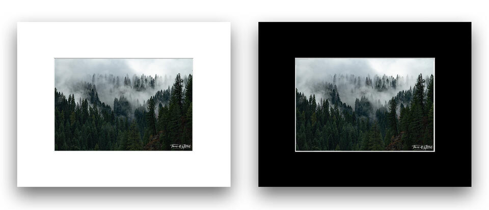  print preview